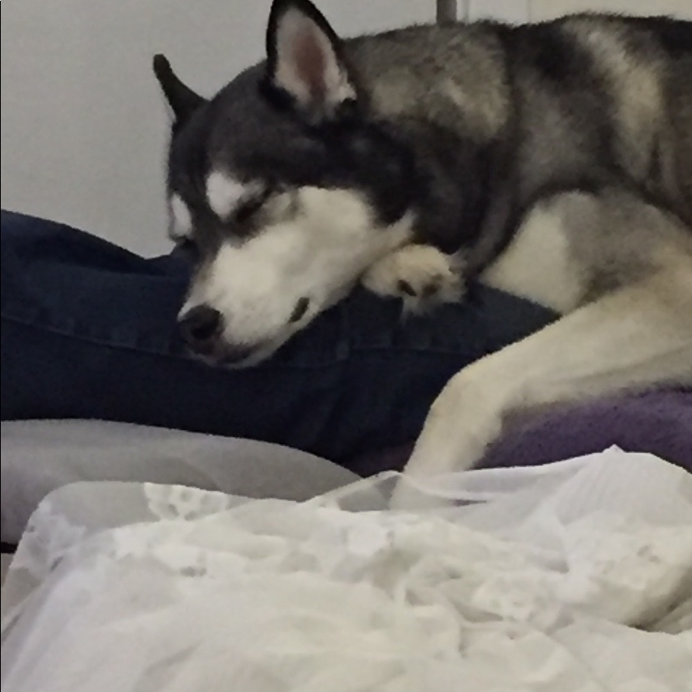 Meet your Posher, Melissa